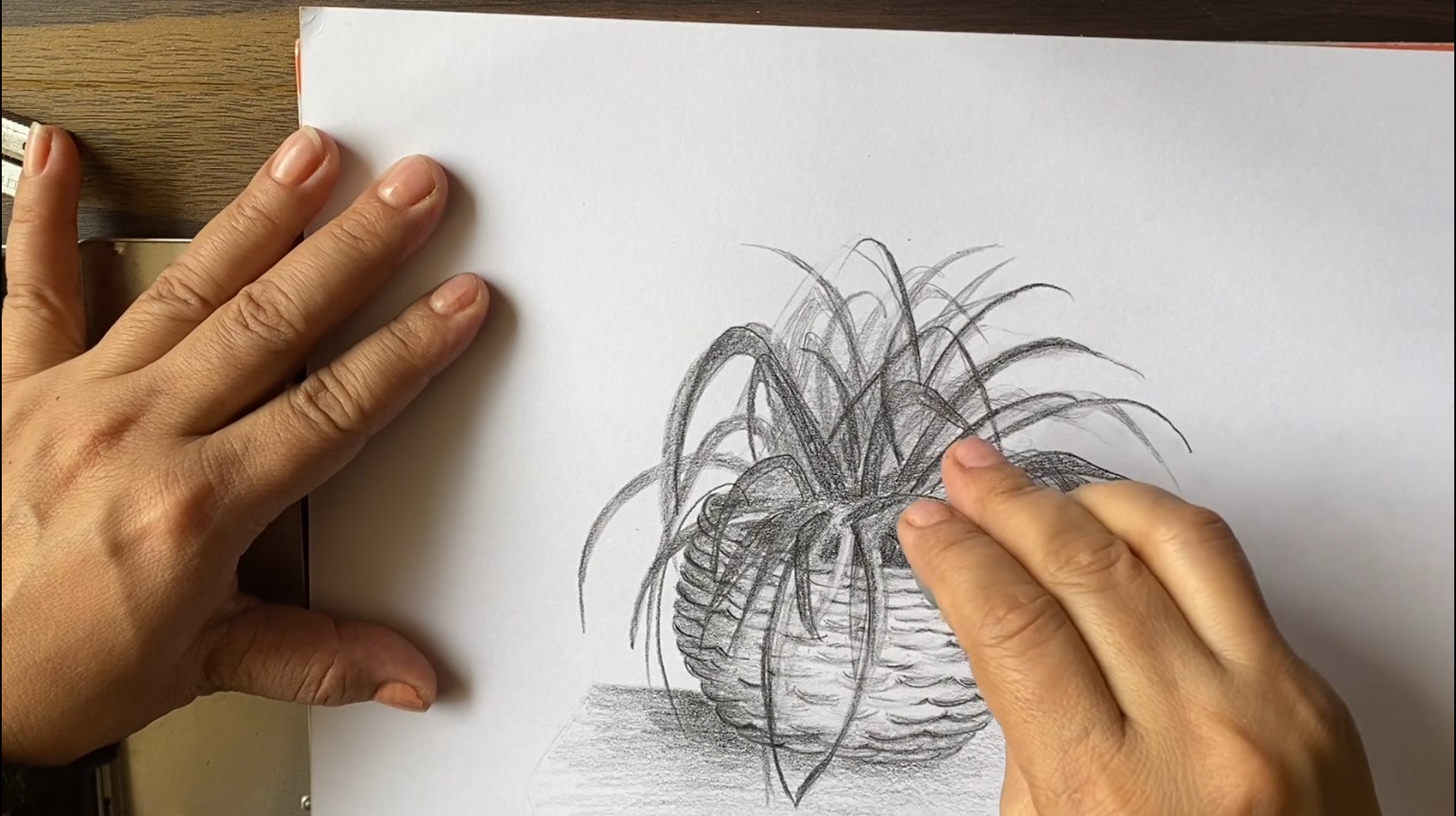Portraits thumbnail